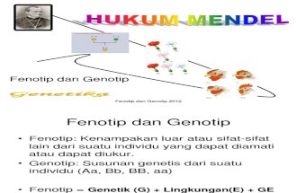MV- Fenotip Dan Genotip-PTD1101-20!03!2012 Tety