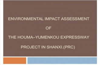 The Environmental Impact Assessment (EIA)