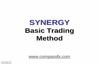 Synergy Basic