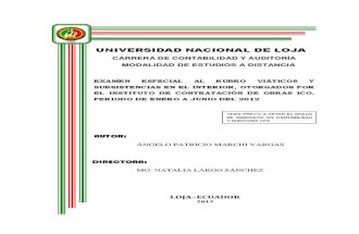 Examen Especial Al Rubro Viaticos y Subsistecias en El Inter