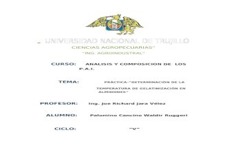 Determinacion De gelatinizacion - Palomino Cancino Waldir Ruggeri.docx