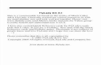 Fly Lady Kit