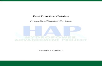 Mech Kaplan Prop Turbine Best Practice