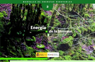 Manual Biomasa