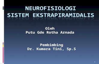 Neurofiologi Ekstrapiramidalis Rotha