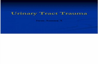 Urinary Tract Trauma