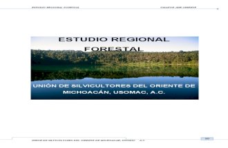 3777Memoria Del Estudio Regional Forestal 1605