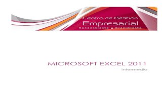 Microsoft Excel 2010 MAC