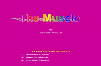 2. MUSCLE1
