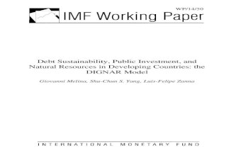 Debt Sustainability, Public Investment, and Natural Resources in Developing Countries: the DIGNAR Model