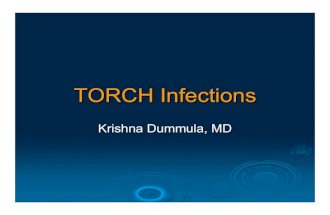 Torch Infections