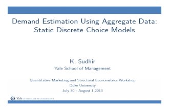Sudhir-Demand Estimation-Aggregate Data Workshop-Updated 2013