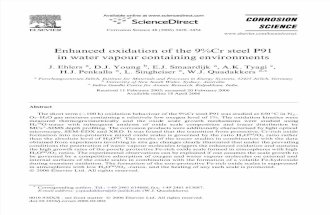 Enhanced oxidation of the 9%Cr steel P91  in water vapour containing environments