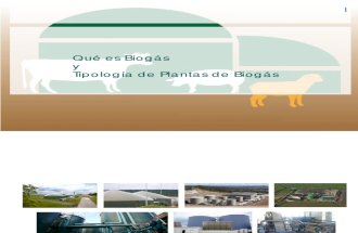 Biogas y Tipos de Plantas