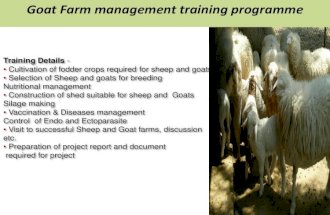 Goat Farming (1)
