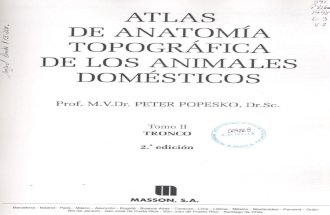Atlas de Anatomia Topografica de Lo Animales Domesticos - Tomo 2