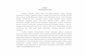 analisis-protein.pdf