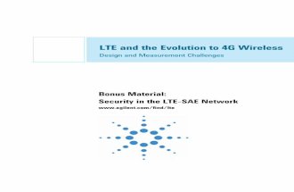 Security in the LTE-SAE Network