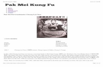 Preview of “Pak Mei Kung Fu 白眉派”