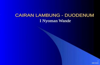Cairan Lambung-duodenum (1)