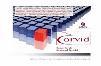 Ex Sys Cor Vid Advanced Tutorial