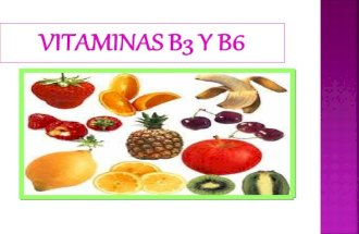 Vitaminas b3 y b6