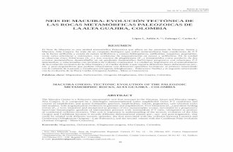 Articulo RocasMetamorficas Guajira Vol34