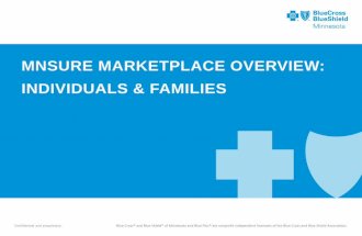MNsure Member Overview