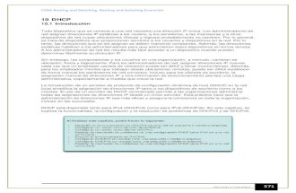 Curricula PDF Cisco Ccna2 V5 capitulo10