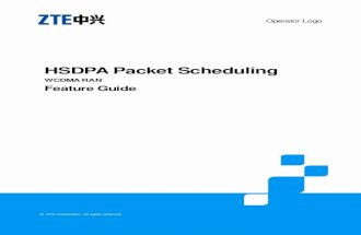ZTE UMTS HSDPA Packet Scheduling Feature Guide