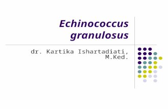 Echinococcus