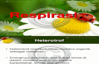 2. Respirasi heterotrof