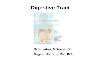 Histologi Sistem Digestivus 2013