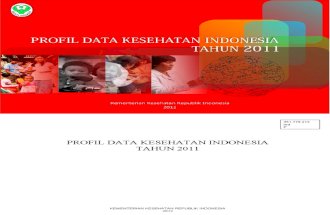 Profil Data Kesehatan Indonesia