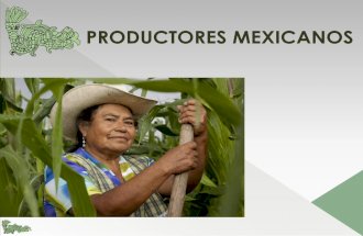 Productores Mexicanos Presentación  2015
