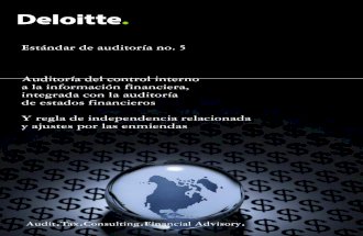 AS5  Español Deloitte 2007
