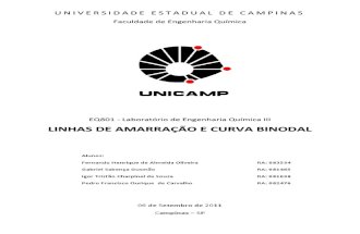 Relatório - Linhas de Amarração & Curva Binodal - FEQ EQ801 - UNICAMP - Grupo 2