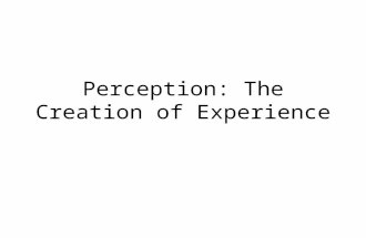 5. perception