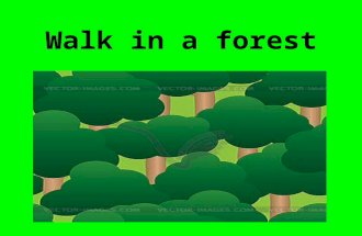 Walk in a Forest