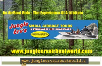 Jungle Erv's Mangrove Canopy Ride