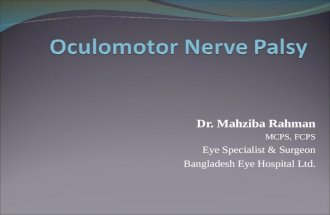 Oculomotor nerve palsy