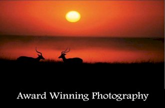 Award Winning Photography