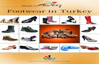 Footwear in Turkey (2010)