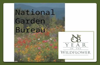 2013 National Garden Bureau Year of the Wildflower