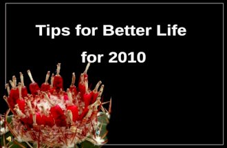 Tips For A Better Life   For Your Health, Wealth And Happiness