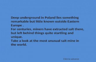 Wieliczka Polish Salt Mine