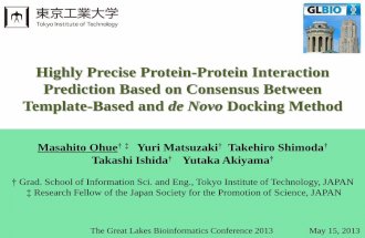 Protein-Protein Interaction Prediction Based on Template-Based and de Novo Docking