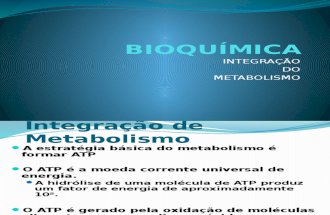 Aula Integração Metabolismo
