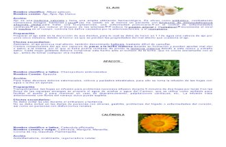 20  plantas medicinales