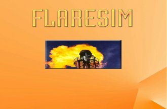 Flaresim Getting Started